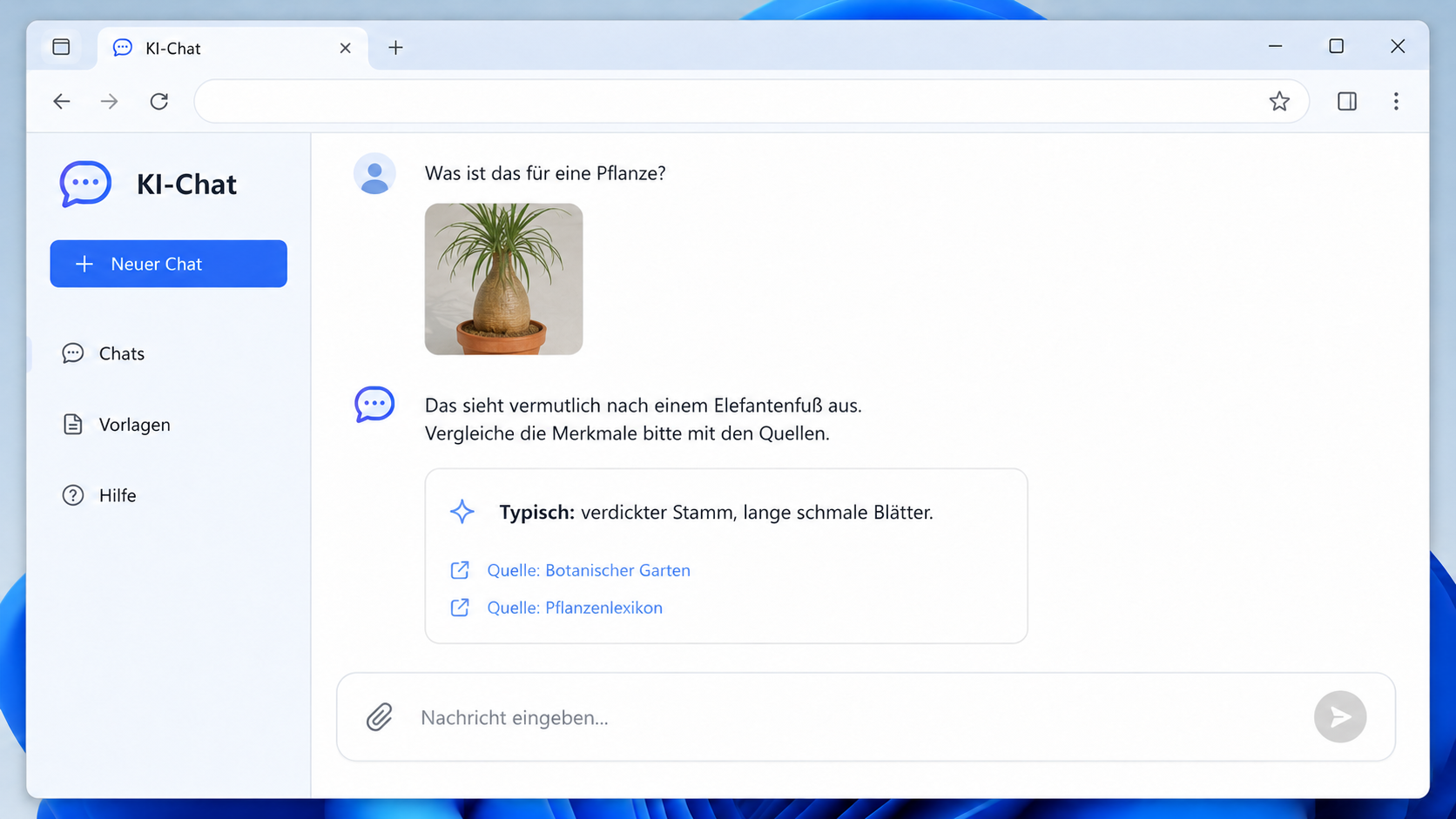 KI ordnet eine Pflanze als vermutlich Elefantenfuß ein