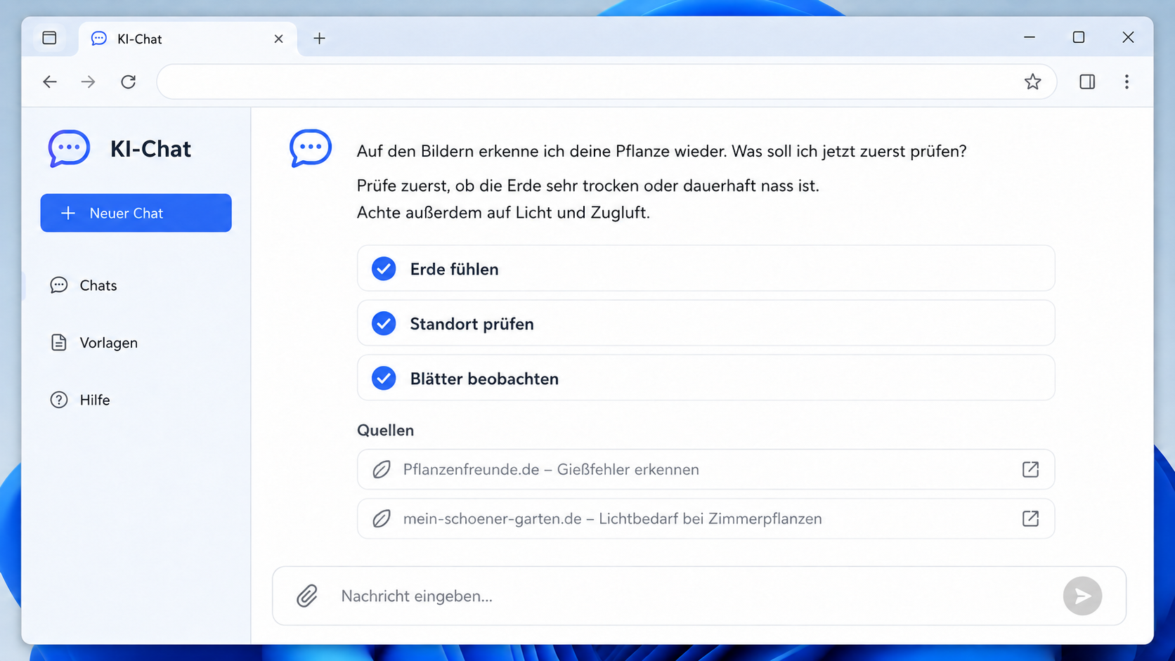 Checkliste für erste Prüfungen an einer Pflanze